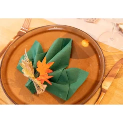 25 SERVIETTES PAPIER AIRLAID 40CM VERT FORÊT