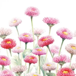 20 SERVIETTES PAPIER CHAMPS PÂQUERETTES 33CM ROSE