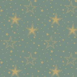 20 SERVIETTES PAPIER CIEL NOCTURNE 33CM OR SAUGE