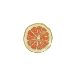 20 SERVIETTES PAPIER COCKTAIL AGRUME 24CM ORANGE