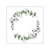 20 SERVIETTES PAPIER COURONNE EUCALYPTUS 33CM