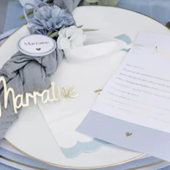 16 SERVIETTES PAPIER FESTON PETIT CUR 33CM BLEU