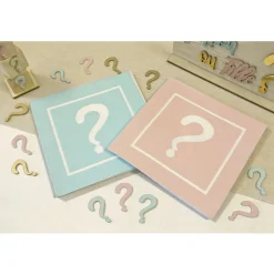 20 SERVIETTES PAPIER GENDER REVEAL 33CM