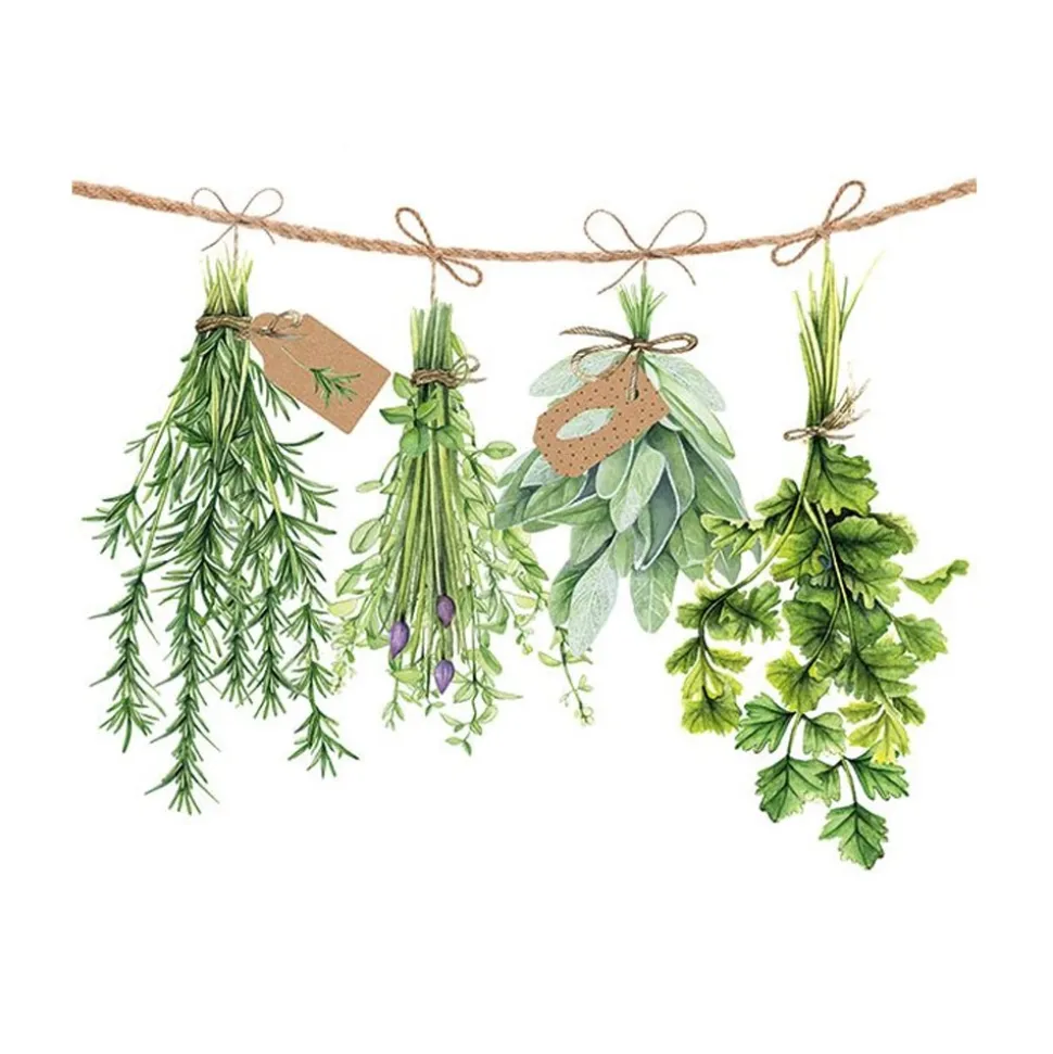 20 SERVIETTES PAPIER HERBES FRAÎCHES 33CM VERT