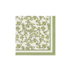 16 SERVIETTES PAPIER JARDIN BOTANIC 33CM PISTACHE