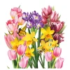 20 SERVIETTES PAPIER JARDIN PRINTEMPS 33CM