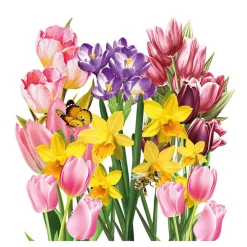 20 SERVIETTES PAPIER JARDIN PRINTEMPS 33CM