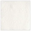15 SERVIETTES PAPIER ÉLÉGANCE 33CM BLANC