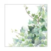 20 SERVIETTES PAPIER LIERRE HEDERA 33CM