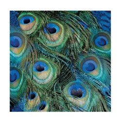 20 SERVIETTES PAPIER PLUMES DE PAON 33CM VERT