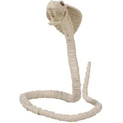 SQUELETTE COBRA 100CM
