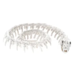 SQUELETTE DE SERPENT 20CM
