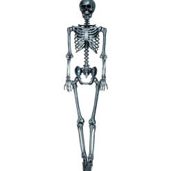 SQUELETTE SUSPENSION DÉCORATIF 160CM ARGENT