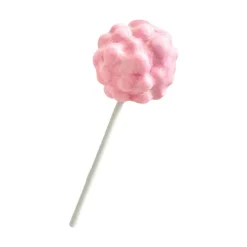 SUCETTE HALLOWEEN CERVELLE