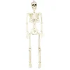 SUSPENSION SQUELETTE ARTICULÉ PLASTIQUE 90CM BLANC