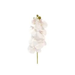 TIGE 7 FLEURS ORCHIDÉ ARTIFICIELLE 75CM BLANC