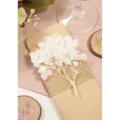 TIGE FLEURS SÉCHÉES 2G 10X5CM BLANC
