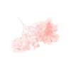 TIGE FLEURS SÉCHÉES 2G 10X5CM ROSE