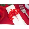 TIGE FLEURS SÉCHÉES 2G 10X5CM ROUGE