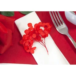 TIGE FLEURS SÉCHÉES 2G 10X5CM ROUGE