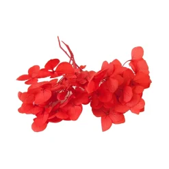 TIGE FLEURS SÉCHÉES 2G 10X5CM ROUGE