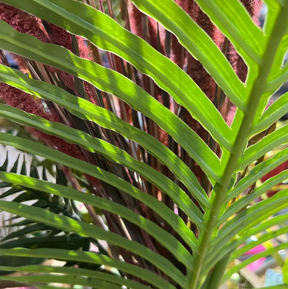 TIGE PALMIER ARTIFICIEL 113CM VERT