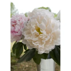 TIGE PIVOINE ARTIFICIELLE 80CM CRÈME