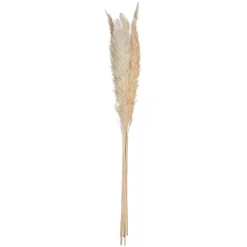 6 TIGES FLEURS SÉCHÉES PAMPA NATURELLE 65CM BEIGE
