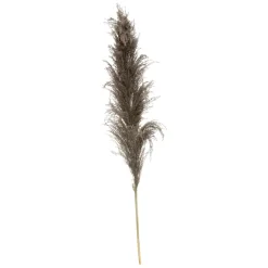 3 TIGES FLEURS SÉCHÉES PAMPA NATURELLE 110CM BRUN
