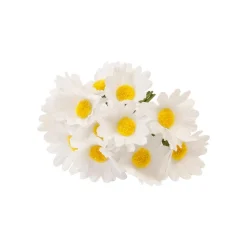 12 TIGES MARGUERITE ARTIFICIELLE 10CM BLANC