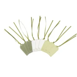 9 ÉTIQUETTES CARTON OLIVIER 6X3CM VERT