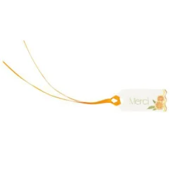 10 ÉTIQUETTES CARTON TUTTI FRUTTI 5X2CM CRÈME