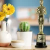 TROPHÉE DE STAR 50AINE