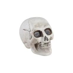 TÊTE DE MORT DÉCO PLASTIQUE 9X13X10.5CM