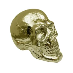 TÊTE DE MORT 17X11.5X13.5CM OR