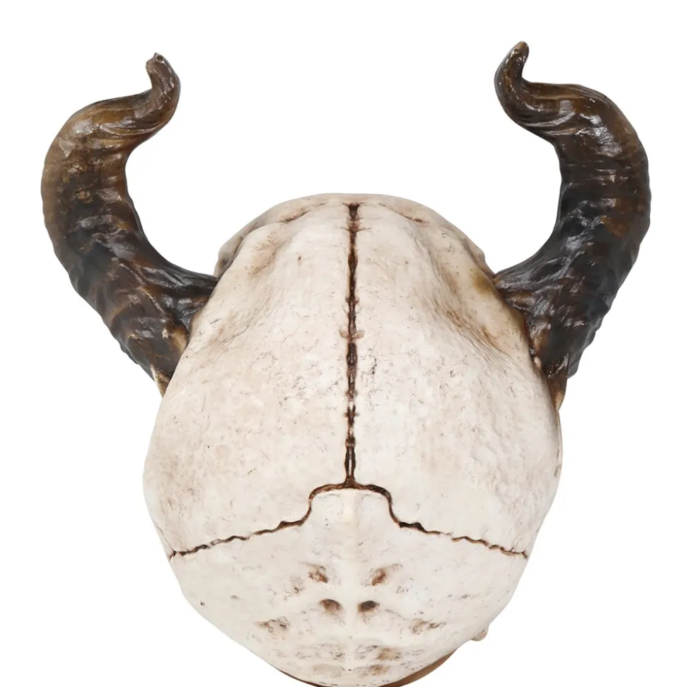 TÊTE MORT CORNES 20CM