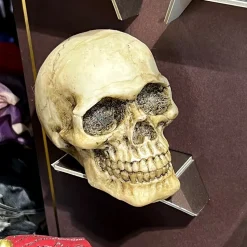 TÊTE MORT RÉSINE 8CM
