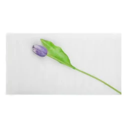 TULLE FIN FILET 1.5X10M BLANC